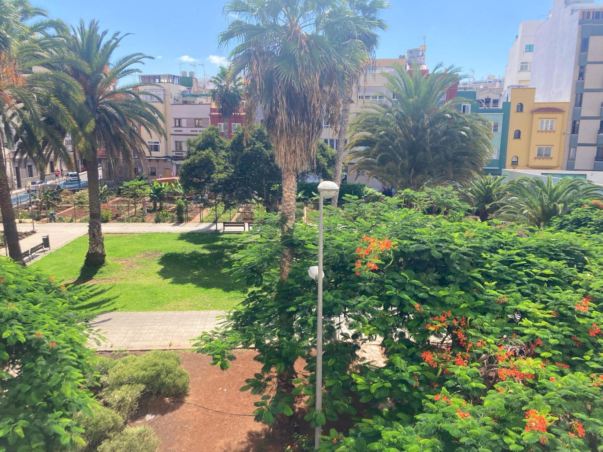 Farray Beach Flat III By Canary365 Las Palmas de Gran Canaria Dış mekan fotoğraf